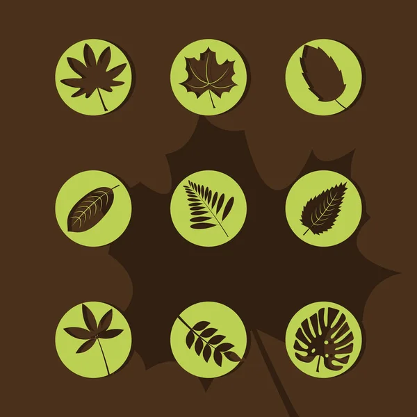 Bundle of nine leafs plants silhouette style icons — Stock Vector