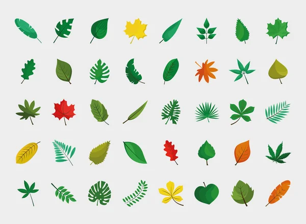 Bundle of fourty leafs plants flat style icons — Stock Vector