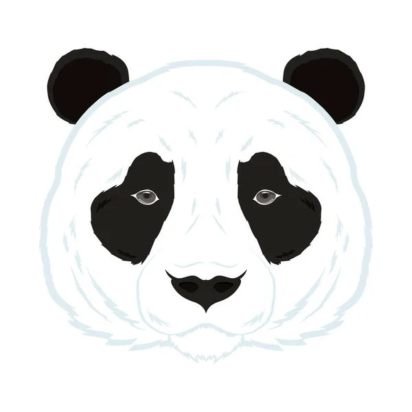 Vahşi ayı panda hayvan kafası fauna karakteri — Stok Vektör