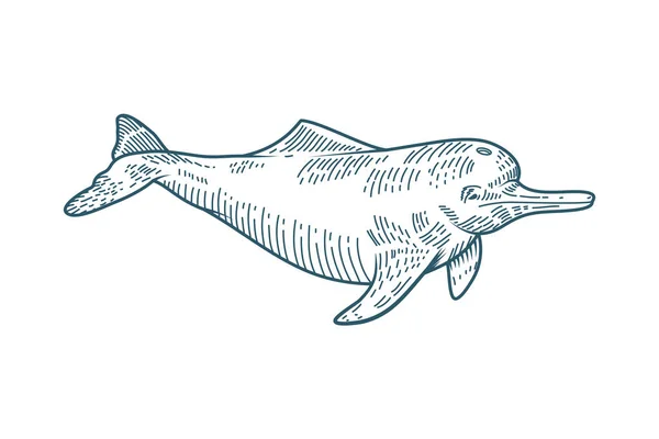 Икона реалистичного образа дельфина — стоковый вектор