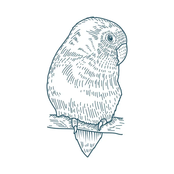 Ptak realistyczny charakter rysowane styl ikona — Wektor stockowy