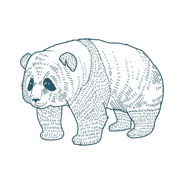 Ilustracion De Pandaストックベクター ロイヤリティフリーilustracion De Pandaイラスト ページ 105 Depositphotos Ilustracion De Pandaストックベクター ロイヤリティフリーilustracion De Pandaイラスト ページ 105 Depositphotos