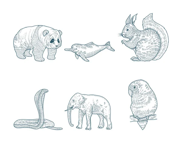由6个动物角色组成的小组画出风格图标 — 图库矢量图片