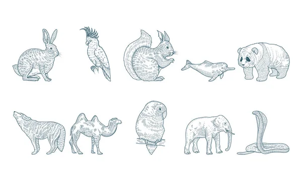 Grupo de diez animales personajes realistas dibujado iconos de estilo — Archivo Imágenes Vectoriales