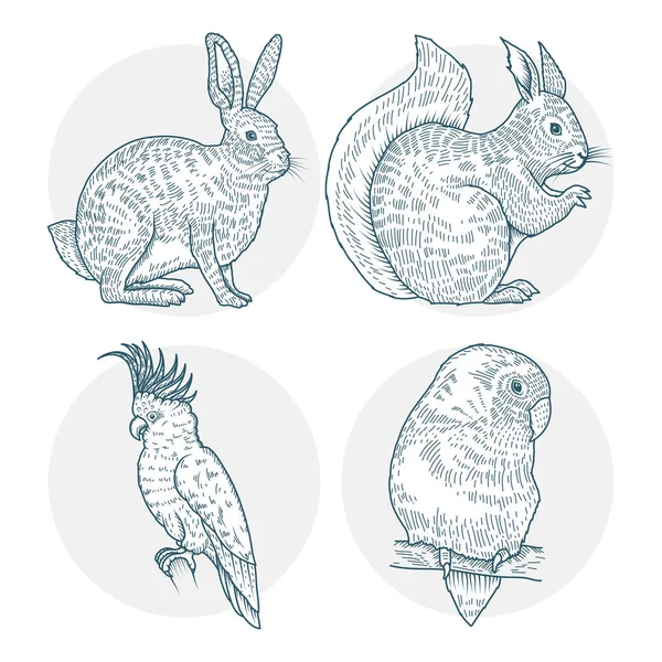 Grupa czterech zwierząt realistyczne znaki rysowane ikony stylu — Wektor stockowy