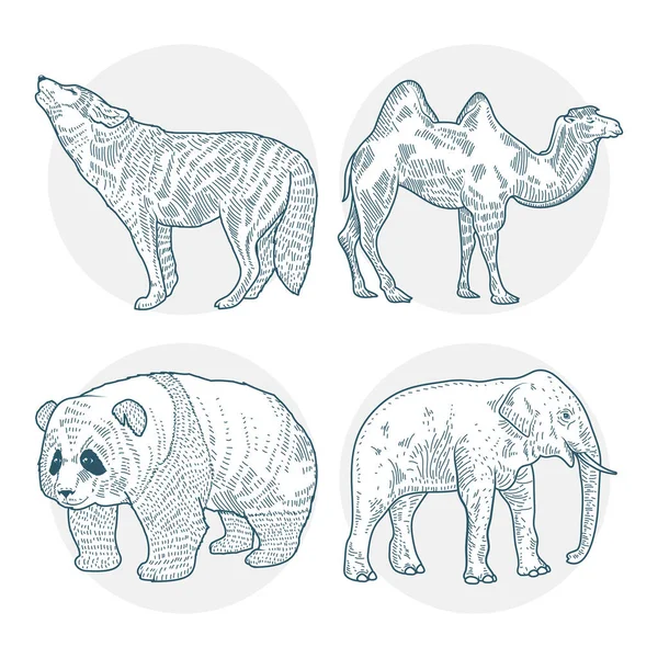 由4个动物角色组成的小组画出风格图标 — 图库矢量图片