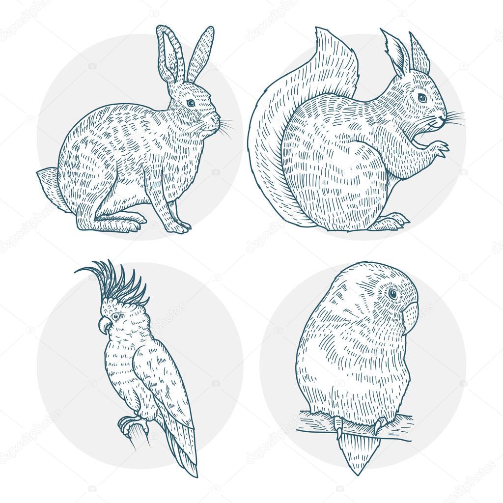 group of four animals realistic characters drawn style icons