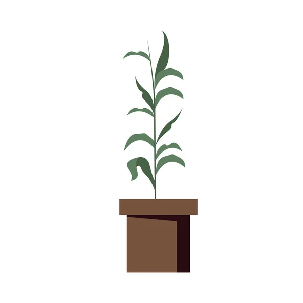 Plante à l'intérieur conception vectorielle pot — Image vectorielle