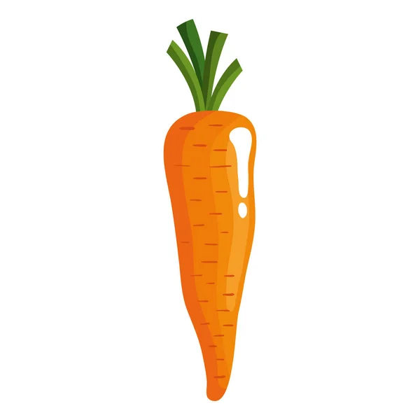 Zanahoria verduras alimentos saludables icono — Archivo Imágenes Vectoriales