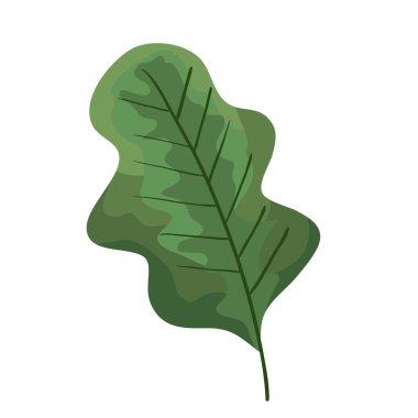 Yaprak bitkisi ekoloji doğa simgesi
