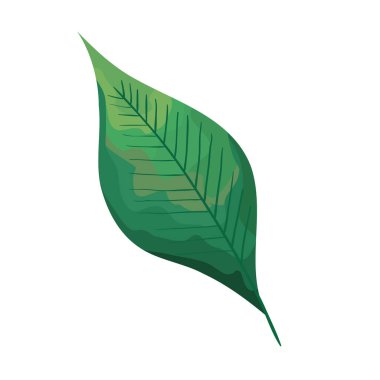 Yaprak bitkisi ekolojisi doğa yeşil simgesi
