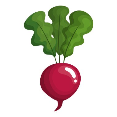 Soğan sebzeleri sağlıklı gıda simgesi