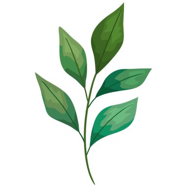 Yeşil yapraklı dal ekoloji ikonu