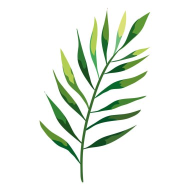 Yaprak doğa ikonlu tropikal egzotik dal