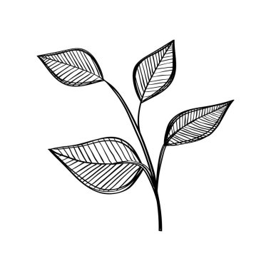 Yapraklar bitkiler doğa ekolojisi ikonu çizdi