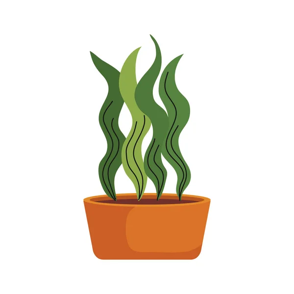 Turuncu renkli seramik saksıda izole edilmiş ev bitkisi — Stok Vektör