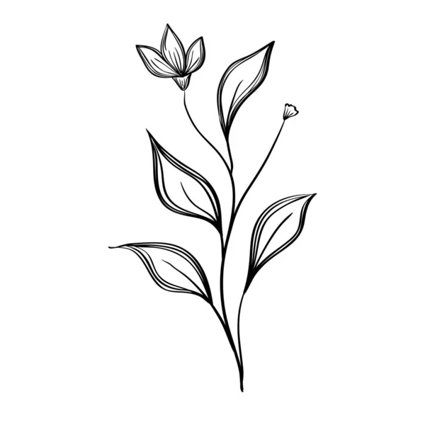 Plant natuur ecologie getekend pictogram — Stockvector