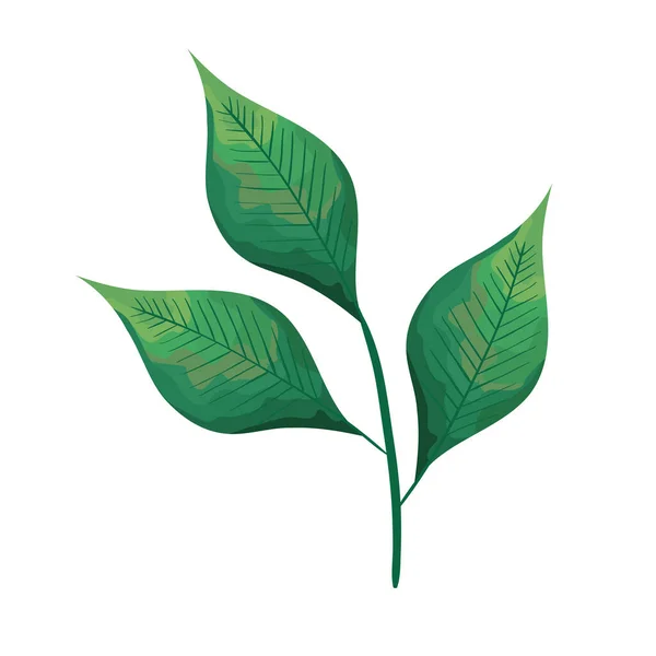 Rama verde con hojas icono de ecología vegetal — Vector de stock