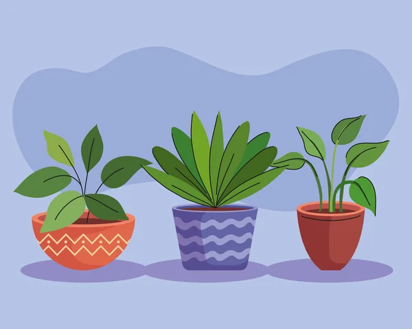 Paquete de tres plantas de casa en macetas de cerámica — Vector de stock