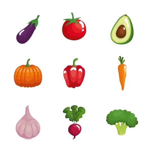 Bundle of nine vegetables healthy food set icons — Stock Vector