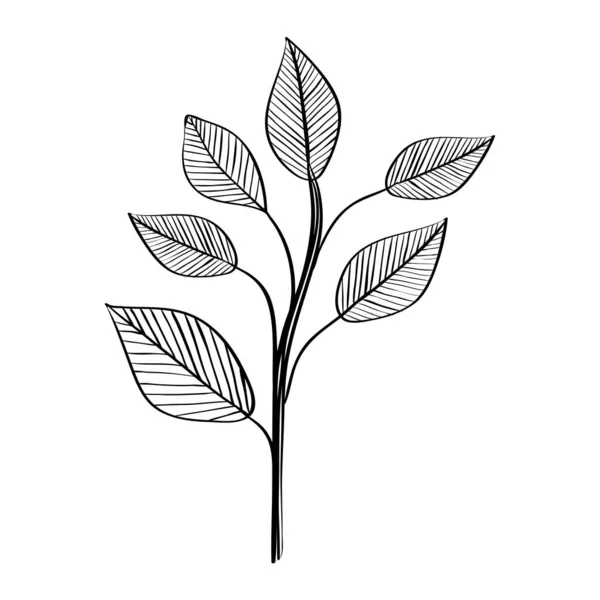 Листові рослини природна екологія намальовані — стоковий вектор