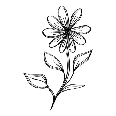 Çiçekler ve yapraklar bitkiler doğa ekolojisi