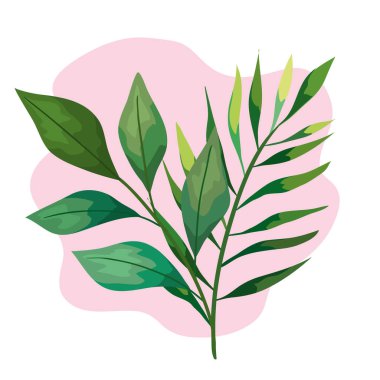 Yapraklı tropikal egzotik dallar.