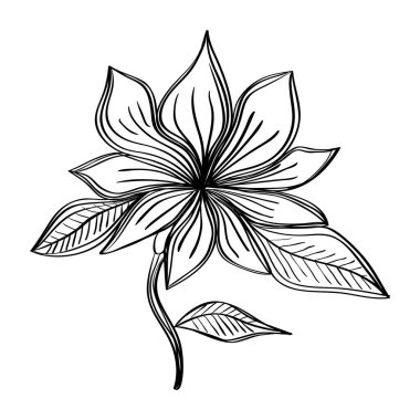 Çiçekler ve yapraklar doğa ekolojisi izole bir ikon çizdi