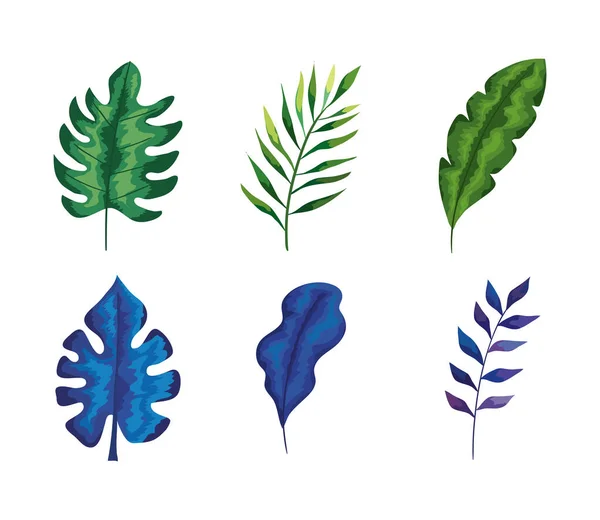 Fascio di sei foglie e rami set icone — Vettoriale Stock