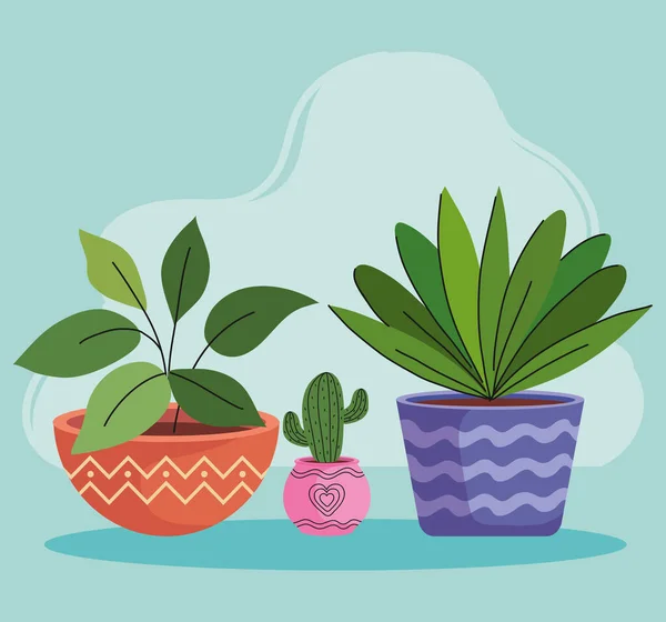 Three house plants in ceramic pots — Stock Vector