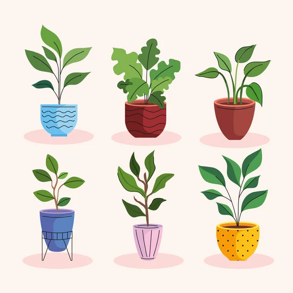 Paquete de seis plantas de casa en macetas de cerámica — Vector de stock