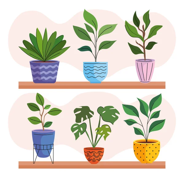 Six house plants in ceramic pots over shelf — Stock Vector