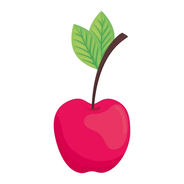 Apple fruit icon vector design — Stock Vector