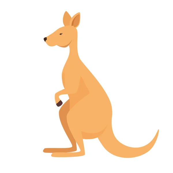 Canguro australiano animal salvaje carácter — Vector de stock