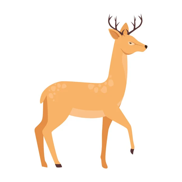 Deer african animal wild character — Stock Vector