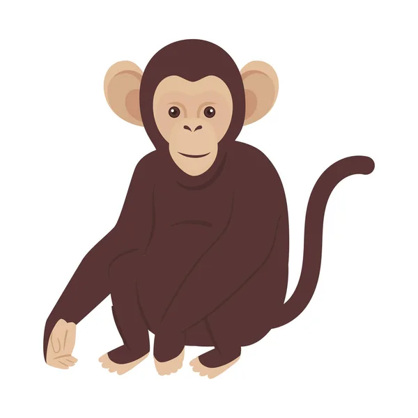 Mono africano animal salvaje carácter — Vector de stock
