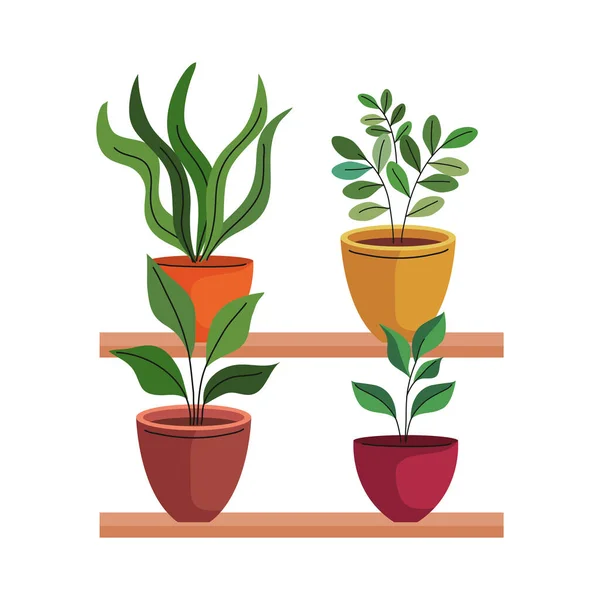 Bundle of four house plants in ceramic pots over shelf — Stock Vector