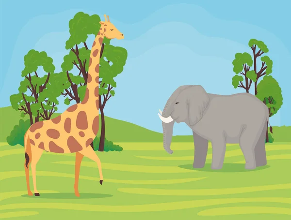 Zürafa ve fil Afrikalı hayvanlar kampta vahşi. — Stok Vektör