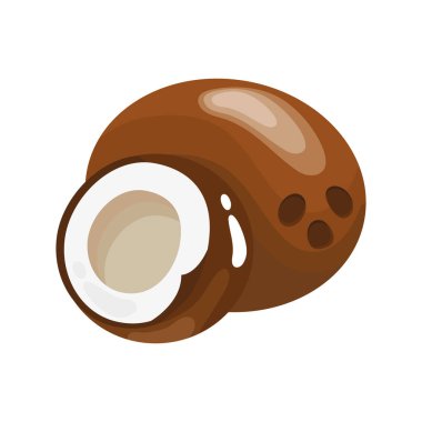 Hindistan cevizi lezzetli taze meyve ikonu