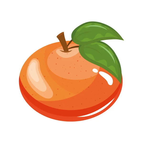Mandarino delizioso frutta fresca icona della natura — Vettoriale Stock