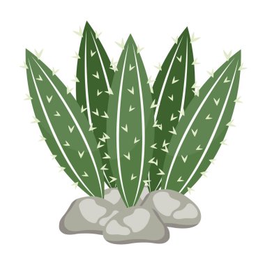 Kaktüs bitkisi kaya ikonuyla egzotik