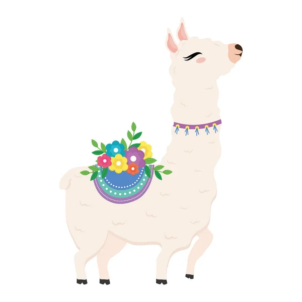 Cute alpaca exotic animal with chair and flower and necklace — Stock Vector