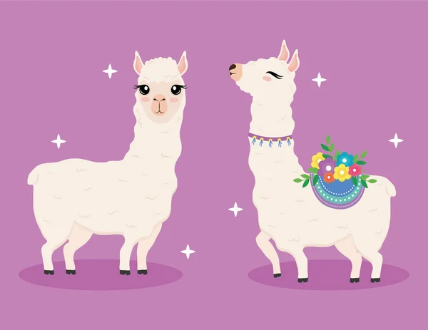 Cute two alpacas exotic animals with flowers decoration characters — Stock Vector