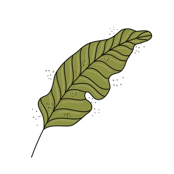 Hoja planta ecología naturaleza verde icono — Vector de stock