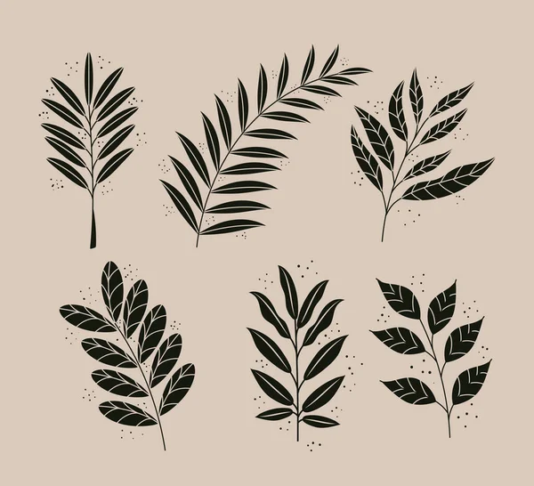 Paquete de seis hojas de estilo boho plantas naturaleza iconos — Archivo Imágenes Vectoriales