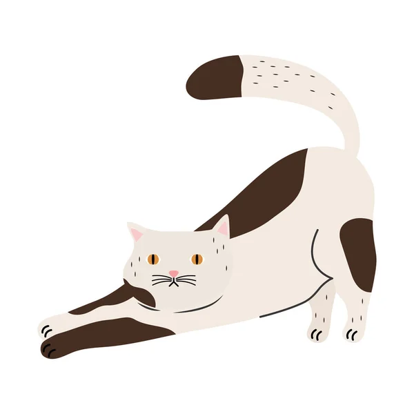Lindo pequeño gato blanco y marrón mascota carácter — Vector de stock