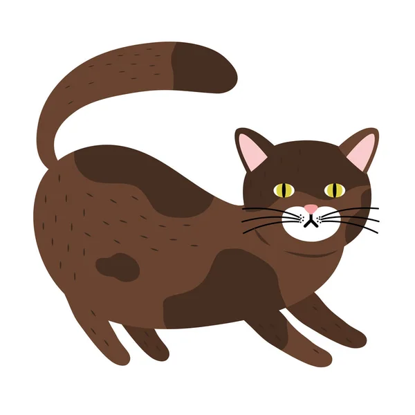 Bonito pequeno gato marrom cor mascote mascote personagem —  Vetores de Stock