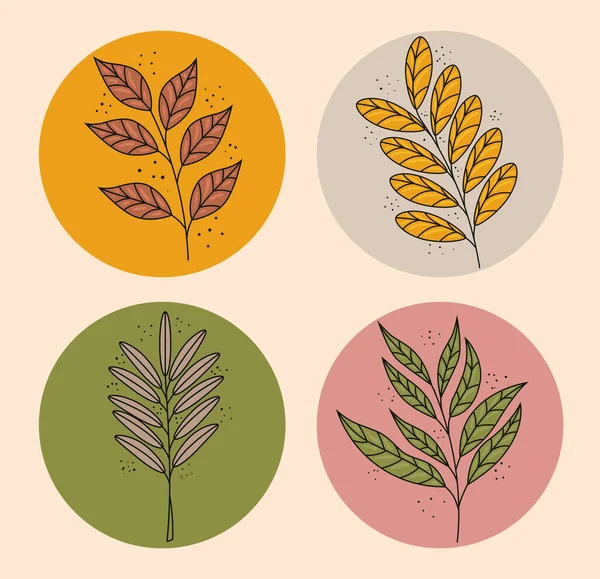 Paquete de cuatro hojas estilo boho plantas naturaleza decorativa iconos — Archivo Imágenes Vectoriales