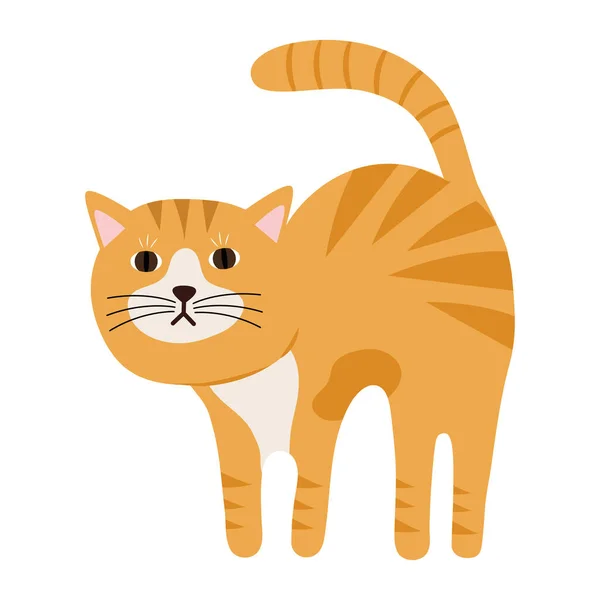 可爱的小猫咪黄色的宠物角色 — 图库矢量图片#