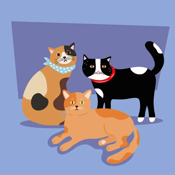 Пучок трьох котів відрізняється кольорами масками — стоковий вектор